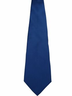 CHARLES TYRWHITT Mens Tie Blue - Diagonals