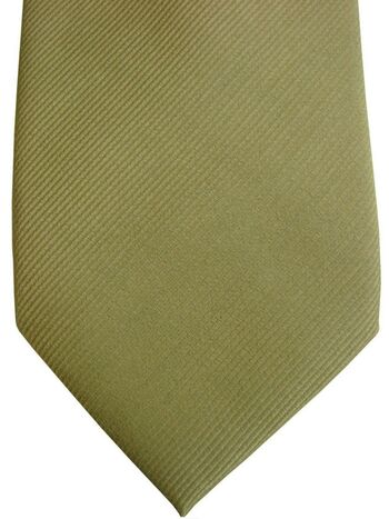 GUASCH Mens Tie Green SKINNY NEW BNWT