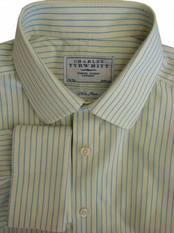 CHARLES TYRWHITT Shirt Mens 15.5 M Yellow – Blue Stripes NON IRON